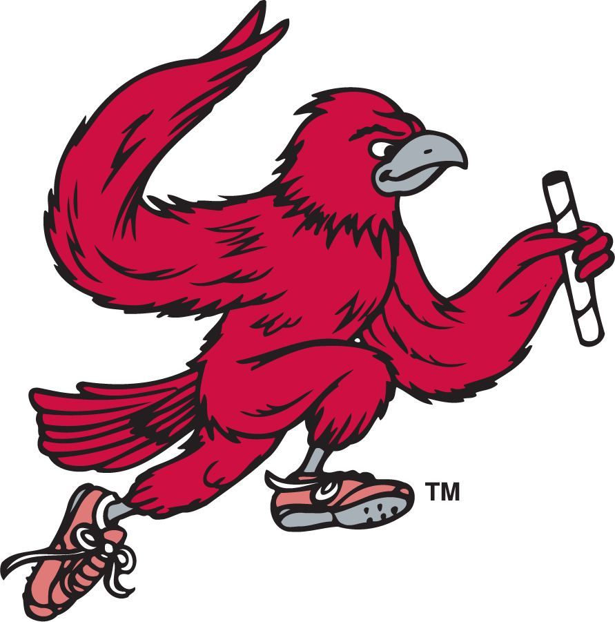 St. Joseph's Hawks 1995-2002 Secondary Logo v6 iron on transfers for T-shirts